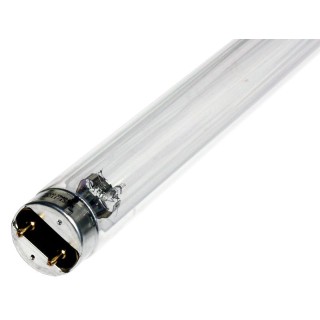Lampe UV T8