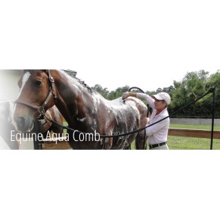 Aqua comb horse