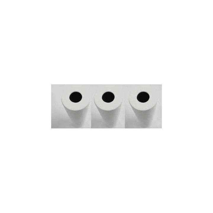 Lot de 3 filtres 20"- 5µm charbon actif pour  Ecostream 2 et 4