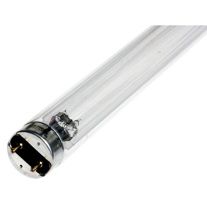 Lampe UV T8
