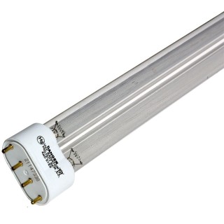 Lampe UV 2G11